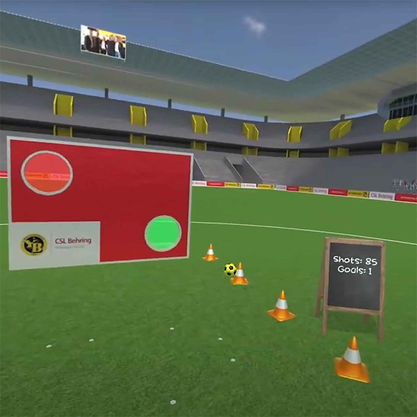 Virtual Reality Soccer